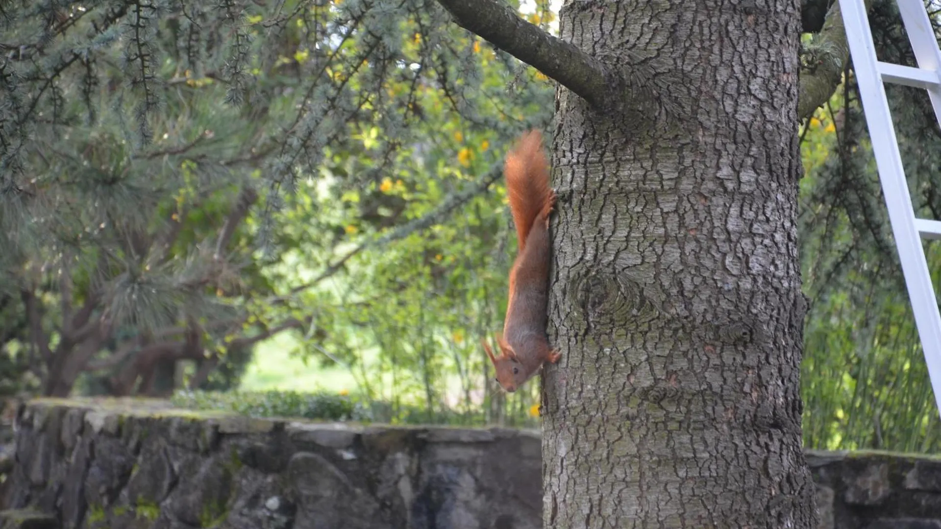 Bed & Breakfast Domaine Insolite Du Petit Moras Chomerac